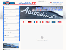 Tablet Screenshot of amctk.com